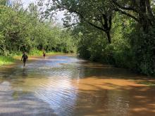 Bitou Disaster Management on high alert following heavy rainfall